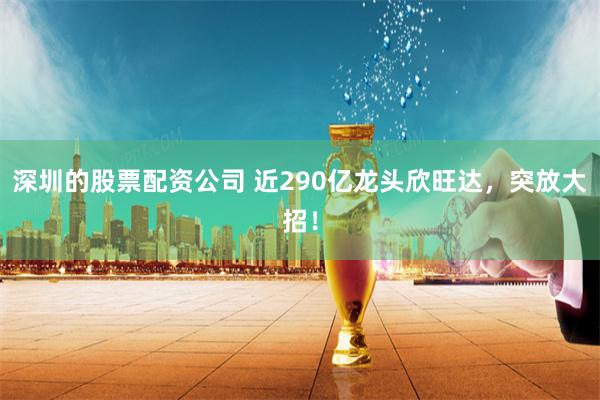 深圳的股票配资公司 近290亿龙头欣旺达，突放大招！