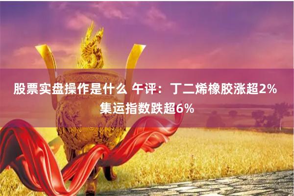 股票实盘操作是什么 午评：丁二烯橡胶涨超2% 集运指数跌超6%