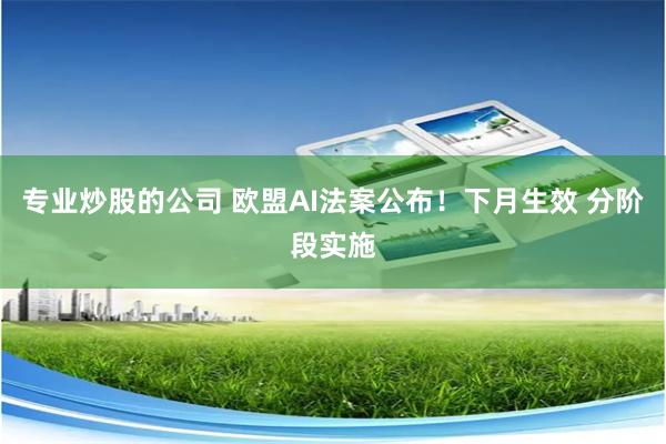 专业炒股的公司 欧盟AI法案公布！下月生效 分阶段实施