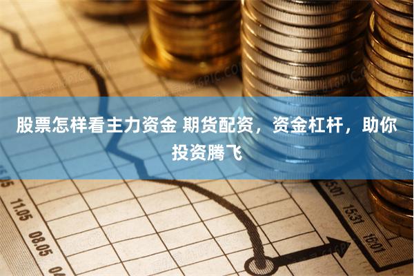 股票怎样看主力资金 期货配资，资金杠杆，助你投资腾飞