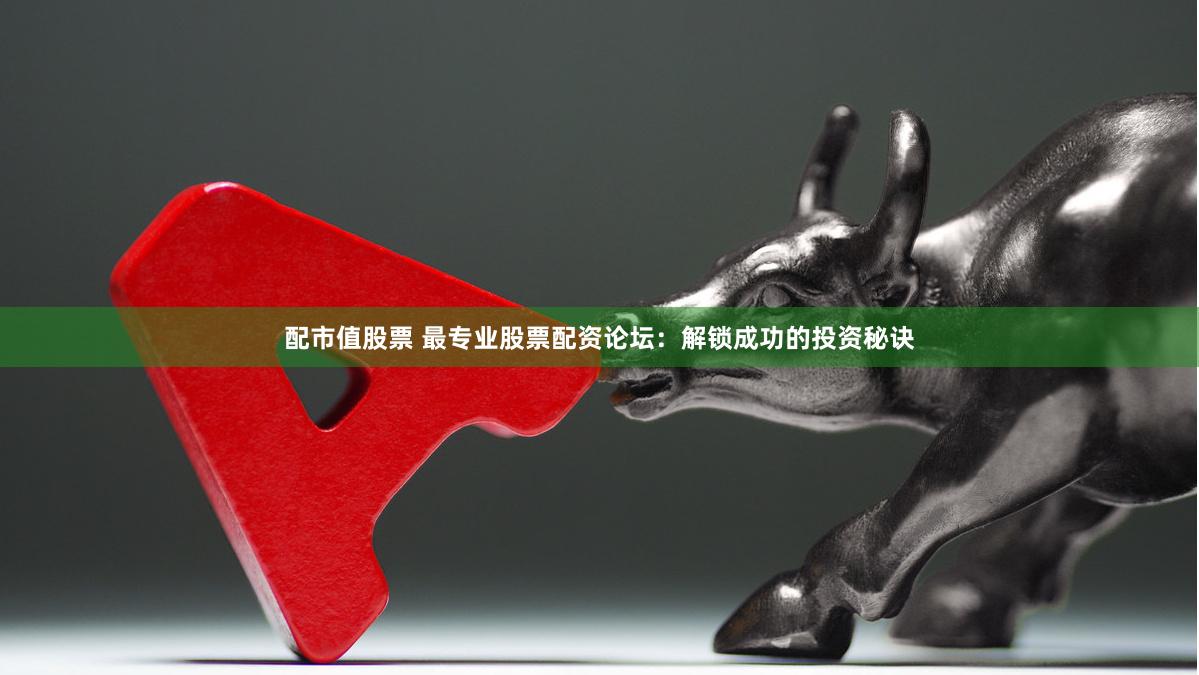 配市值股票 最专业股票配资论坛：解锁成功的投资秘诀