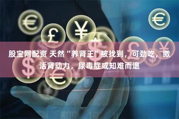 股宝网配资 天然“养肾王”被找到，可劲吃，激活肾动力，尿毒症或知难而退
