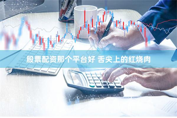 股票配资那个平台好 舌尖上的红烧肉